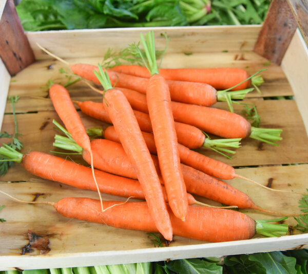 Frischekiste Karotten 1 kg