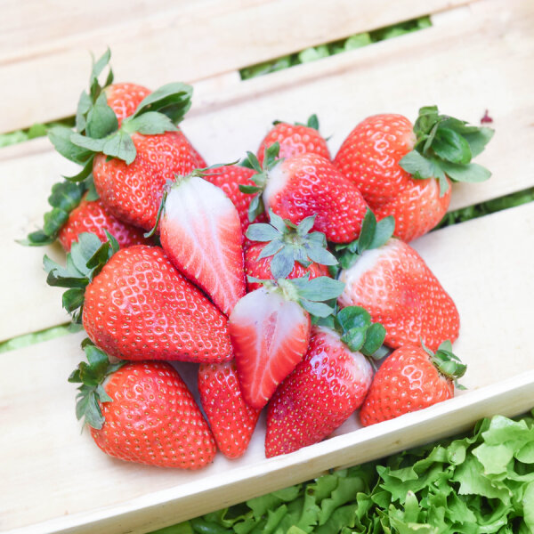 Frischekiste Erdbeeren 500 g Schale