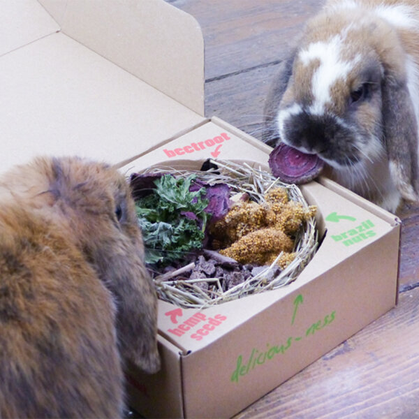 bunnybowl beets and kale
